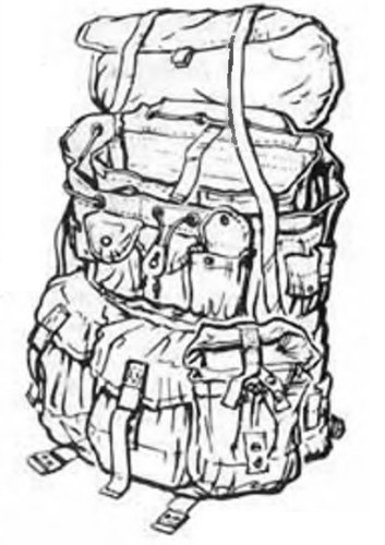 Defect alice combat field - alice,