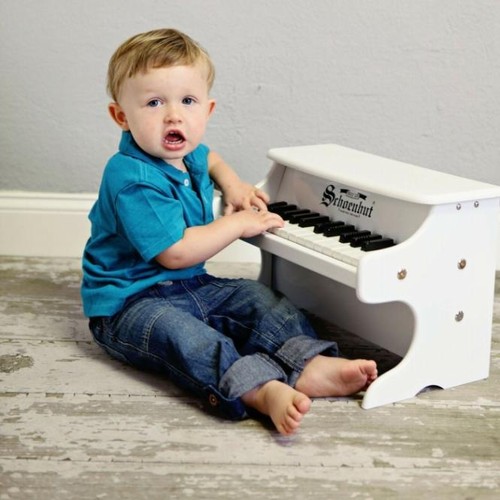 Schoenhut key toy - 25-key, my