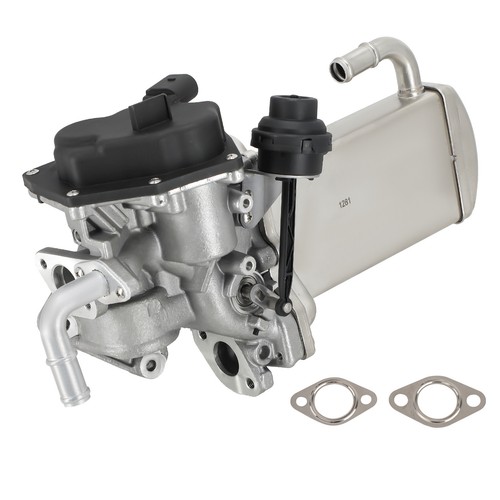 Egr valve for - transporter, /