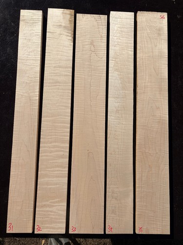 Curly maple bass - bass, guitar
