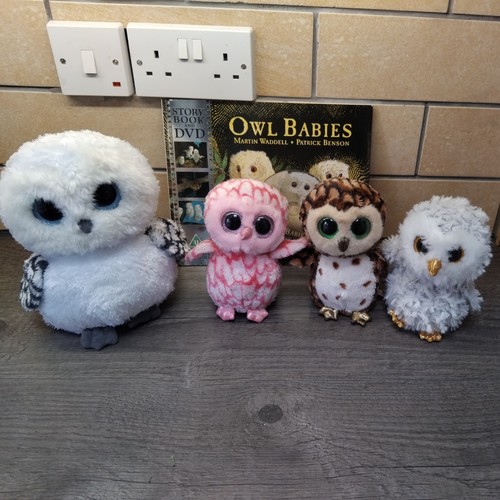Story sack resource owl babies - owl,