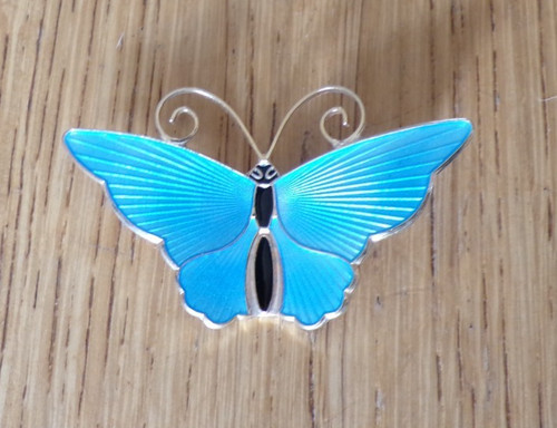 Sterling silver blue enamel - silver,