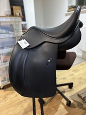 Winter Wide Cob Dressage