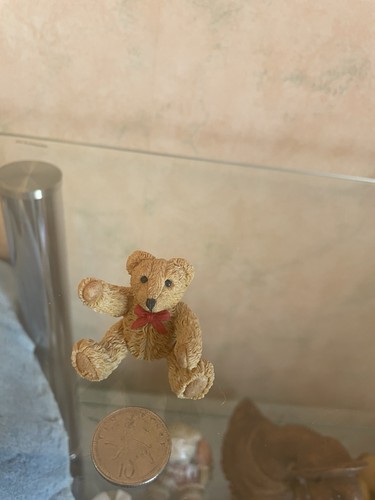 Beau bear hasn got - beau, hasn’t