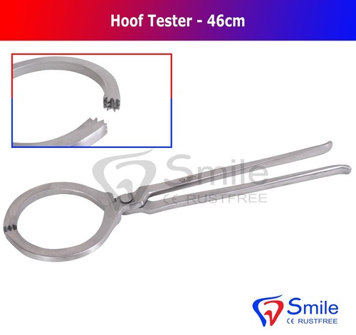 Farrier hoof tester - farrier, abscess