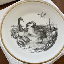 Boehm Ltd Ed Plate Canadian Geese Game Bird Series 1 Of 250  Bone China w box