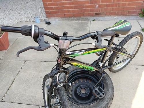 Bike 20in
