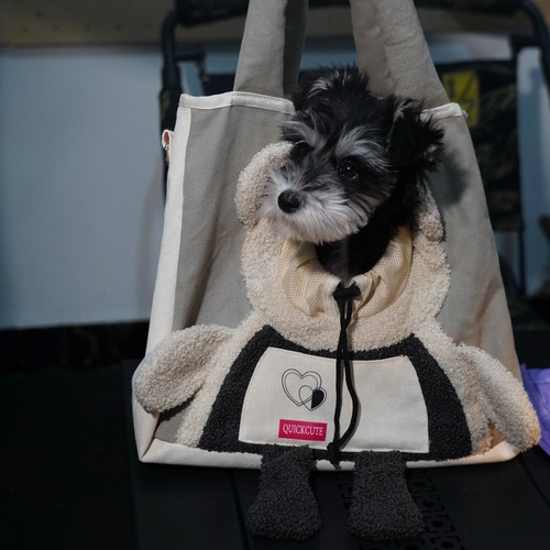Small dog sling carrier - small, puppy