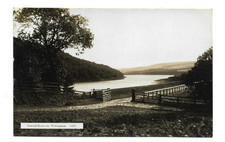 Tunstall Reservoir, Wolsingham, County Durham, Undivided Back RP Postcard.