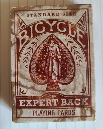 Expert back heritage bicycle - back,