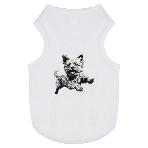 Yorkshire terrier running - running, '