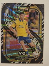 Panini Select Mezzanine MIKA