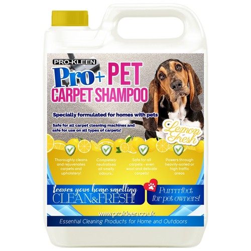 Pet carpet shampoo cleaning - carpet,