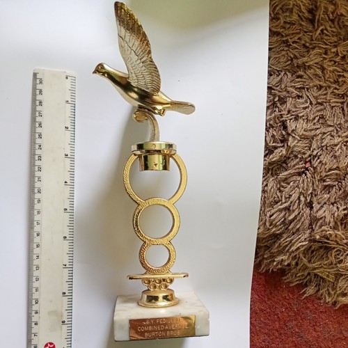 Pigeon racing trophy - pigeon,