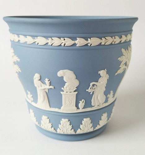 Wedgwood blue jasper plant - blue, pot