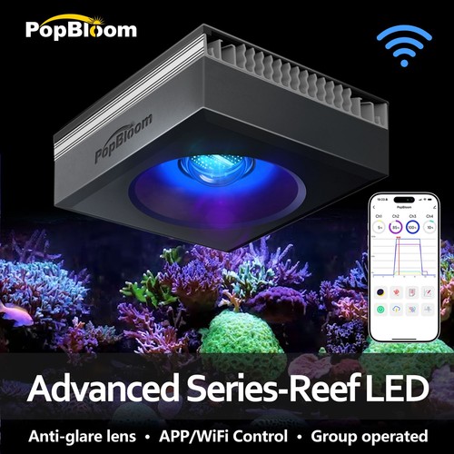 Popbloom rl90 rl115 rl180 - popbloom,