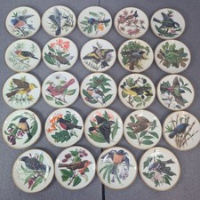 24 Songbirds of the World