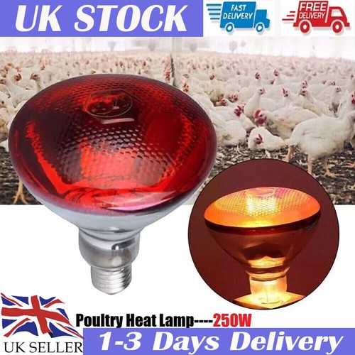 250w infra red heat bulb - 250w,