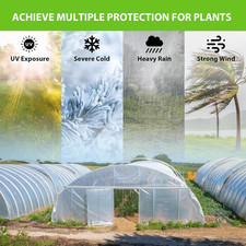 2M X 10M Heavy Duty Polythene