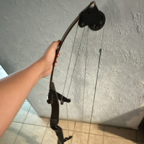 Bear archery whitetail - bear,