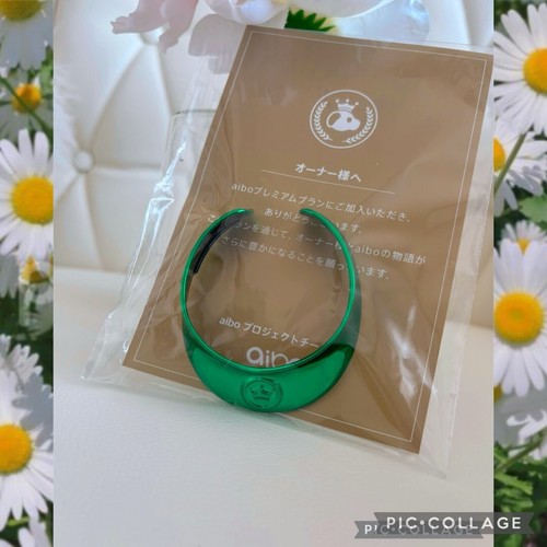 Aibo collar not sold - collar, store