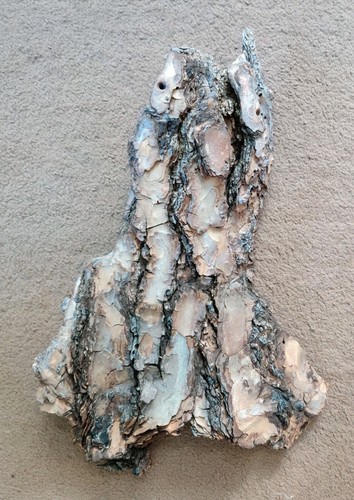 Driftwood tree bark medium - driftwood,