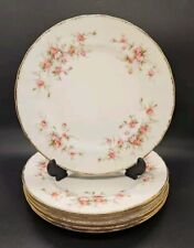 6 x Royal Albert Paragon Victoriana Rose Salad / Desert / Side Plate 8"