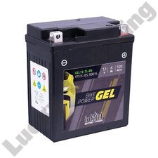 intAct YTX7L-BS / 50614 Gel