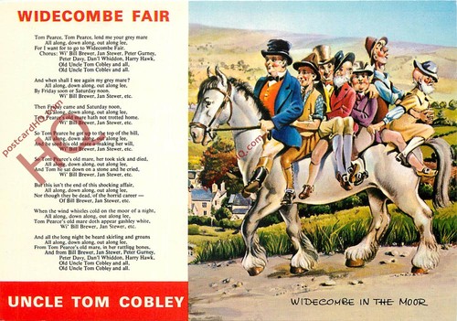 Picture postcard widecombe - picture, postcard::widecombe