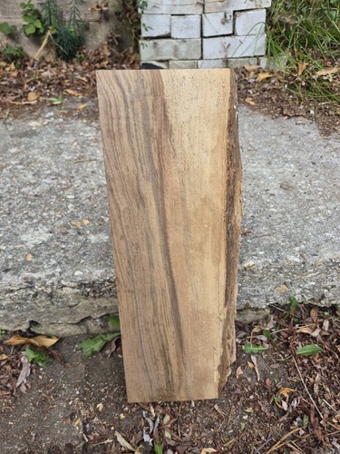 Large english walnut hardwood - large,
