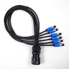 Socapex Spider - Male Socapex