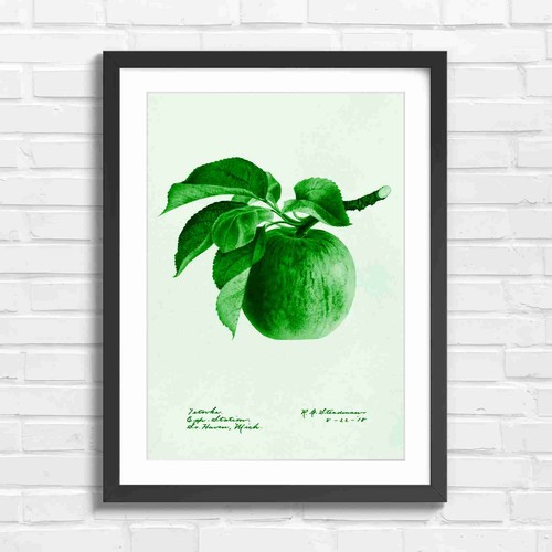 Vintage ietovka apple - ietovka,