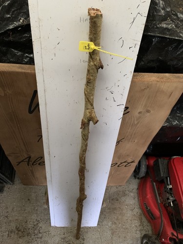 Seasoned hazel heavy twisty - hazel,