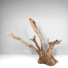 22.5" Manzanita Driftwood