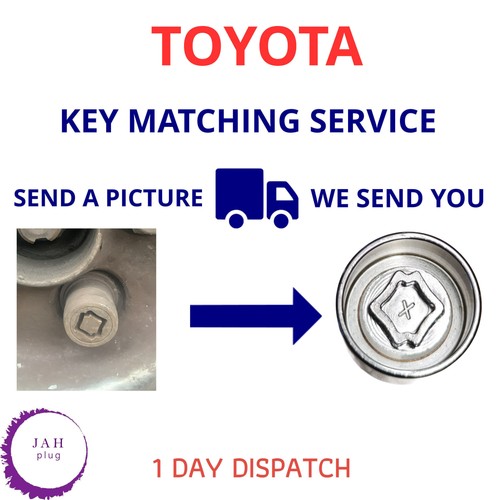 Locking wheel security master - security,