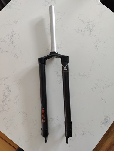 Exotic carbon mtb disc fork - mtb,
