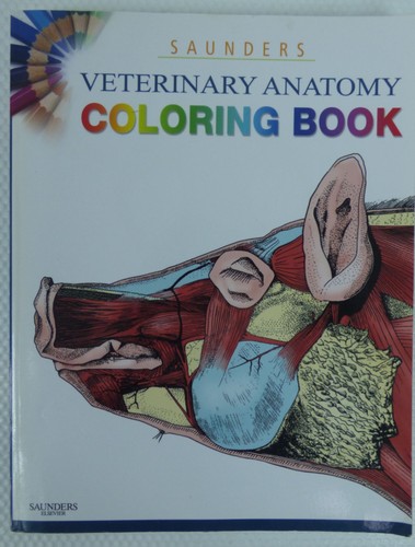 Saunders veterinary anatomy - veterinary,