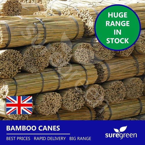 6ft bamboo canes - bamboo, |