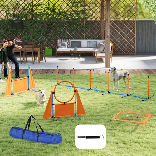 Piece dog agility - agility, equipment