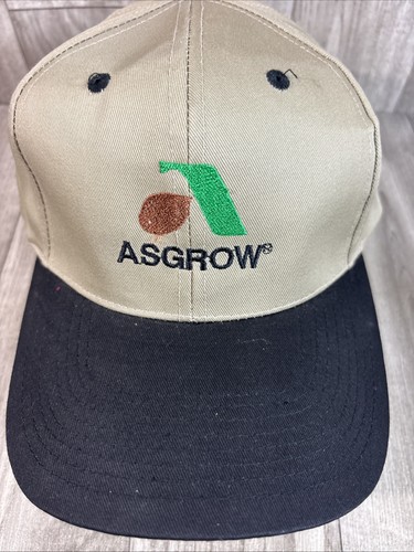 Vintage asgrow hat - vintage, cap
