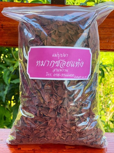 Betel nut dried chewing 000 - dried,
