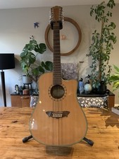 Washburn Dreadnought