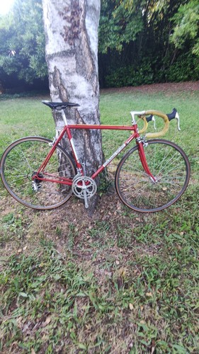 Colnago sport vintage road - colnago,