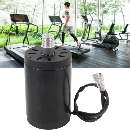 Treadmill brush motor - dc, low