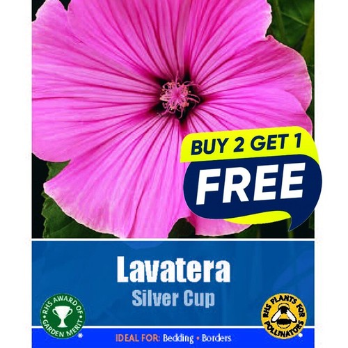 Flower seeds lavatera - seeds,