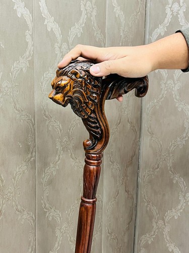 Hand carved lion head - hand,