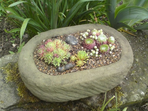 Stone garden rustic - garden,