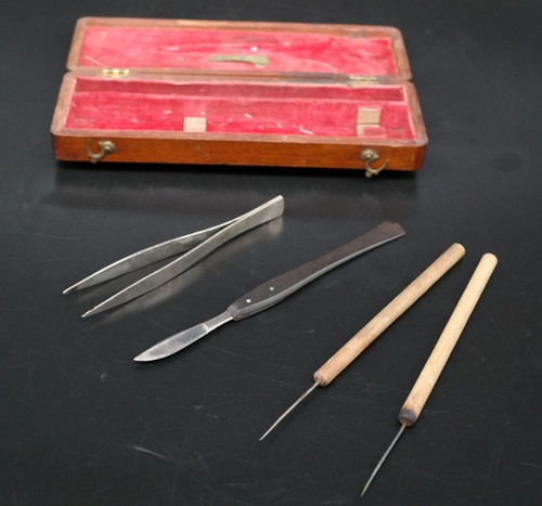 Vintage student dissection kit - dissection,