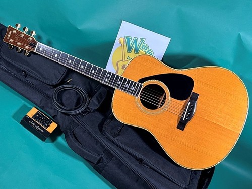 Yamaha 25e acoustic - yamaha,