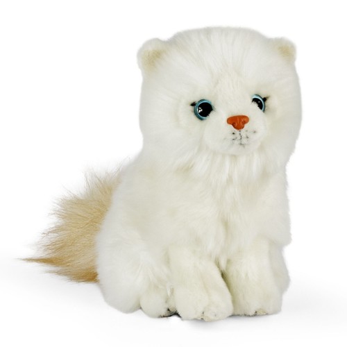 Ragdoll kitten plush - ragdoll,